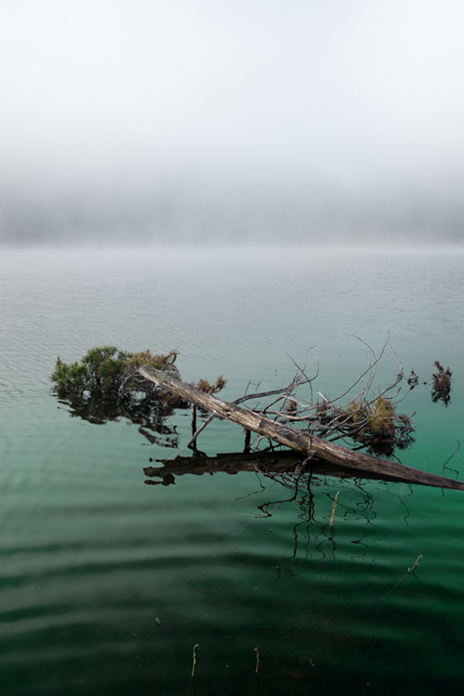 David Luke "Duncan Lake, Boundary Waters"
Archival Inkjet Print