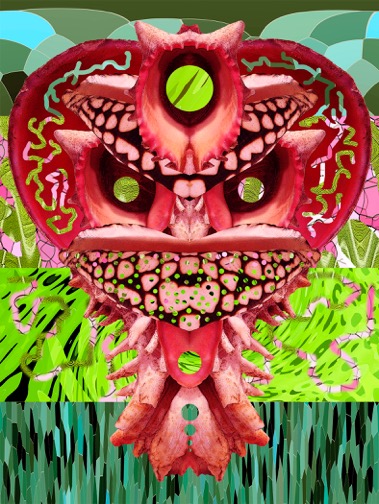 Herman Mhire "Archachatina mask" -  7 x 5