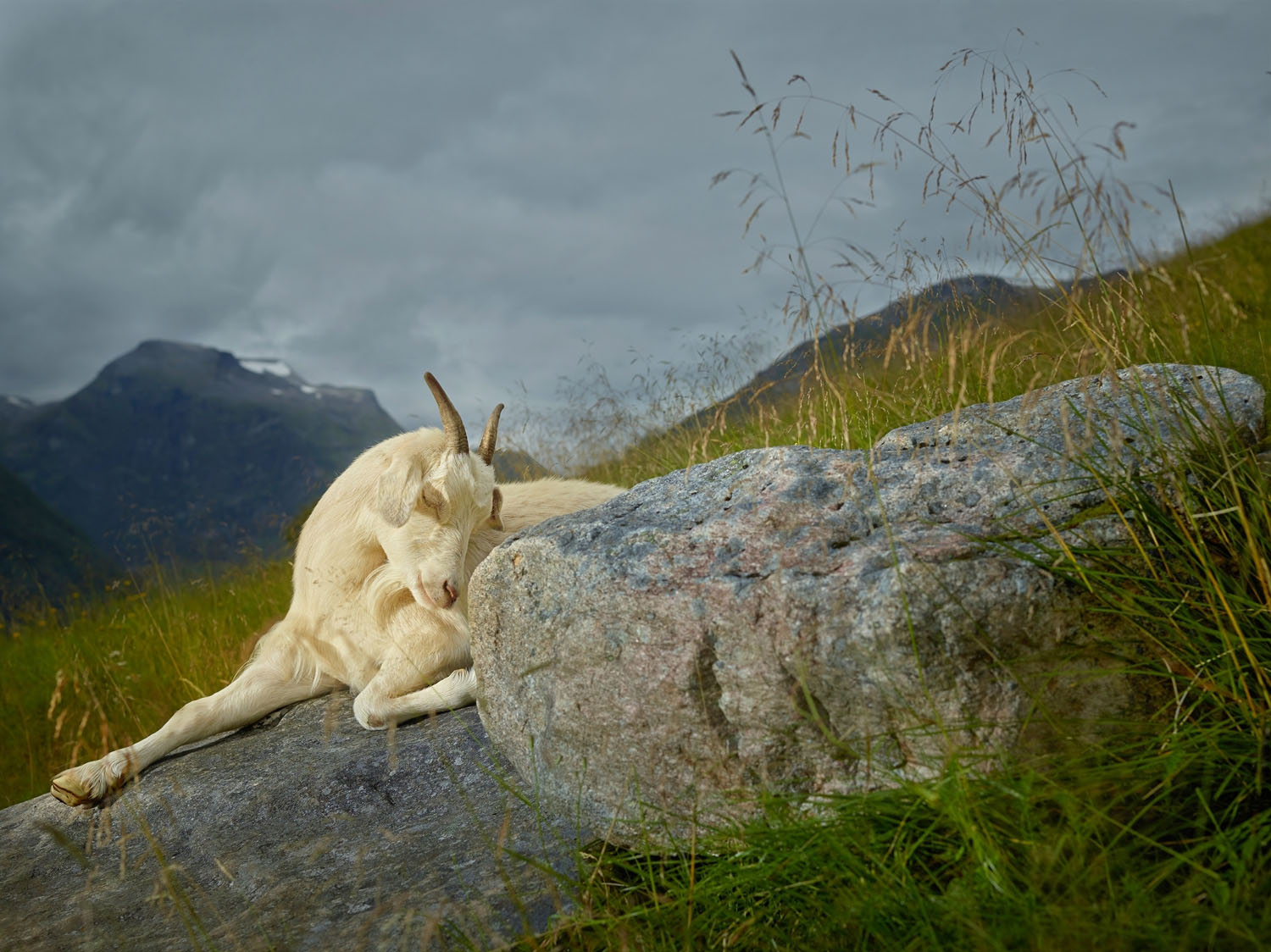 "Hazel, Geiranger Fjord, Norway” 23.5 x 30 inches, archival pigment print, Ed 7 + 1AP, 2016 © R. J. Kern